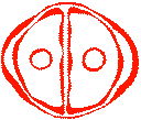 mark05.gif